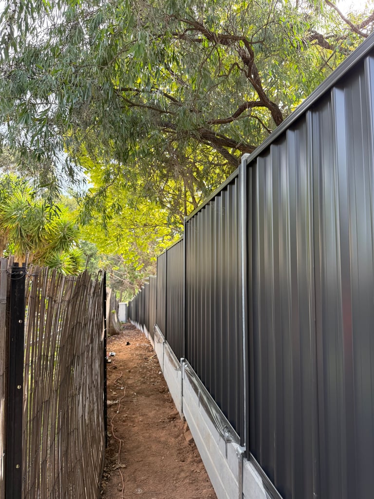 Narrow alleyway between two metal fences with dirt path and trees overhanging from above